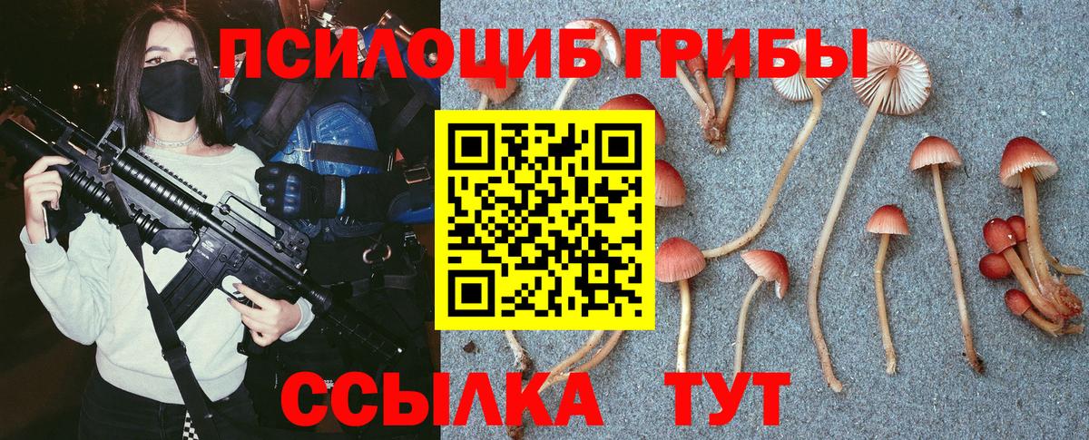 Галлюциногенные грибы Magic Shrooms  Люберцы  закладка  Галлюциногенные грибы прущие грибы 