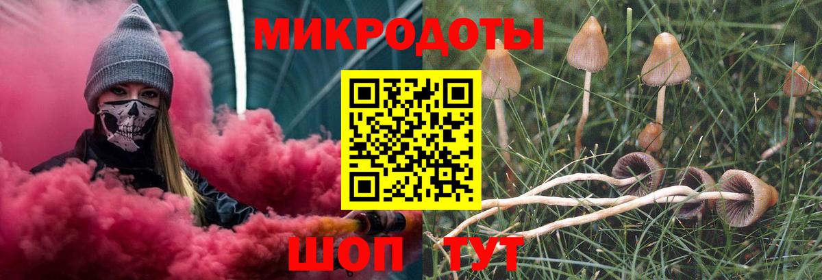 Галлюциногенные грибы Psilocybe Люберцы
